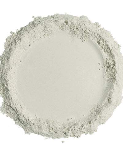 Gut Repair Powder